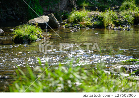 Image of summer outdoor 127508000