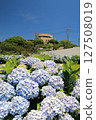 A park square where hydrangeas bloom 127508019