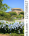 A park square where hydrangeas bloom 127508027