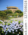 A park square where hydrangeas bloom 127508028