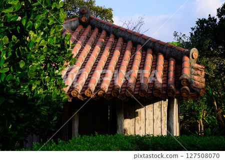 土生土長的沖繩村 土生土長的沖繩村 127508070