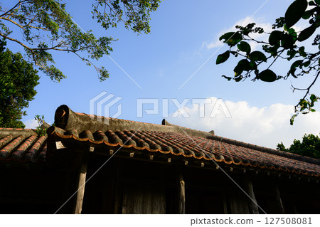 土生土長的沖繩村 127508081