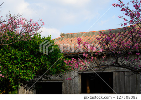 土生土長的沖繩村 127508082