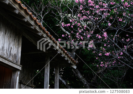 土生土長的沖繩村 127508083