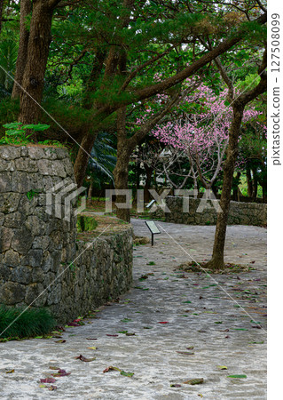 Native Okinawan Village 127508099