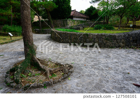 Native Okinawan Village 127508101