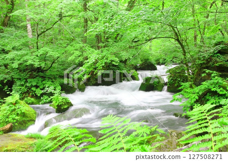Oirase Stream（Asura之流） 127508271