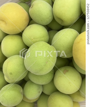 The season for green plums has come The season for green plums has come 127508452