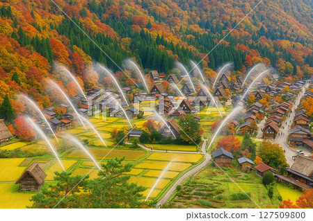 View of autumn water discharge training from the Ogimachi Castle Ruins Observatory in Shirakawa-go 127509800