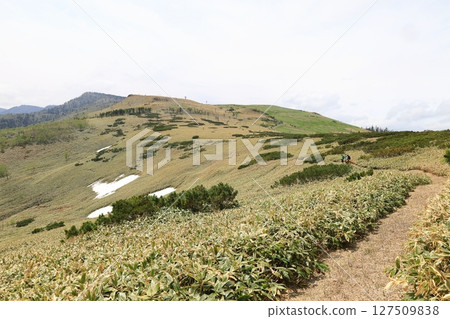 Kussharo Caldera Trail in early summer: Ridge road 127509838