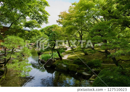 Traditional Japanese garden 127510023