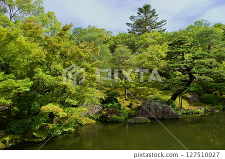Traditional Japanese garden 127510027