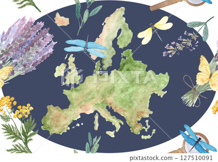 Map of Europe surrounded by lavender, herbs, insects, and leaves watercolor. Perfect for eco-friendly branding, travel blogs, botanical packaging, and educational or tourism designs. Dark background 127510091