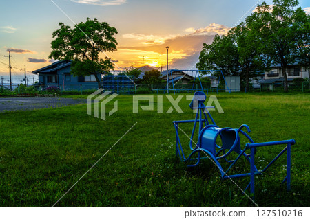 奈良市中心公園裡一匹馬在看日落 4 奈良市中心公園裡一匹馬在看日落 4 127510216
