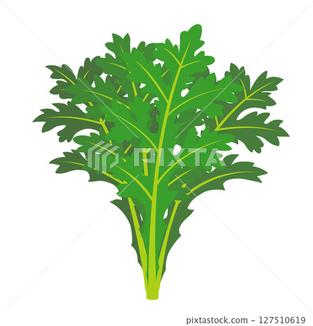 皇冠菊花圖標 127510619