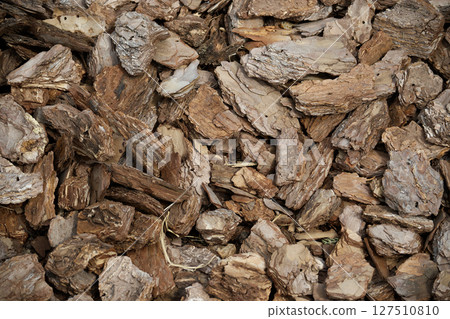 Close-Up View of Brown Tree Bark Mulch for Gardening and Landscaping 127510810