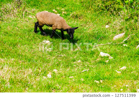 Eating Eating 127511399