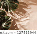 Minimal tropical mockup background with large Monstera leaves casting natural shadows on a soft sandy surface. 127511944