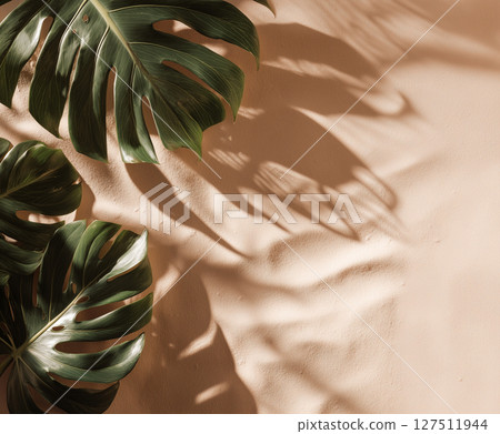 Minimal tropical mockup background with large Monstera leaves casting natural shadows on a soft sandy surface. 127511944