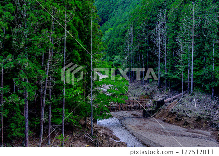 Scenery of a stream flowing through the forest 127512011