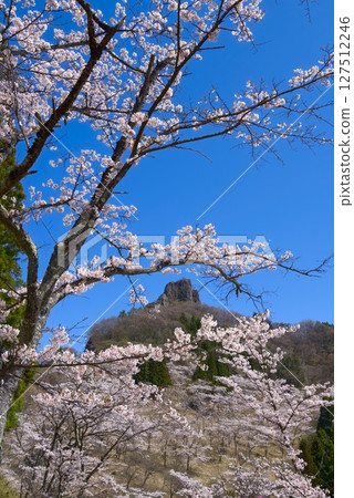 Myogi Sakura Village, cherry blossoms and the first rock 127512246