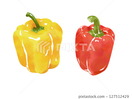 Watercolor style paprika illustration Watercolor style paprika illustration 127512429