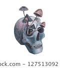 Scull with mushrooms toadstool in the eye gothic magical texture isolated on white background. Watercolor hand drawn skull illustration. Art for design mystical halloween witch decoration, scary card 127513092