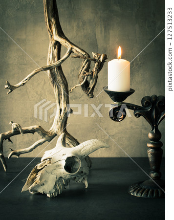 Old goats skull, atmospheric driftwood and vintage candlestick on the table, vertical image. 127513233