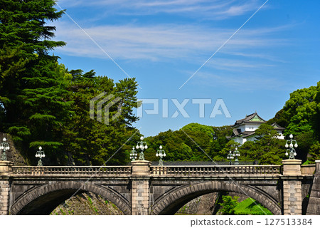 Imperial Palace Outer Gardens and Nijubashi Bridge 127513384