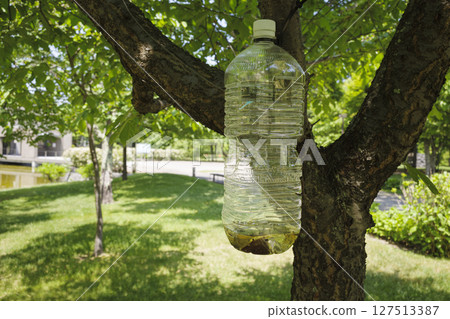 黃蜂陷阱 黃蜂陷阱 127513387