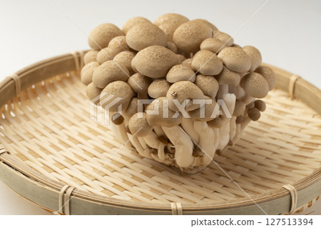 Buna-shimeji, Shimeji, Mushroom Buna-shimeji, Shimeji, Mushroom 127513394