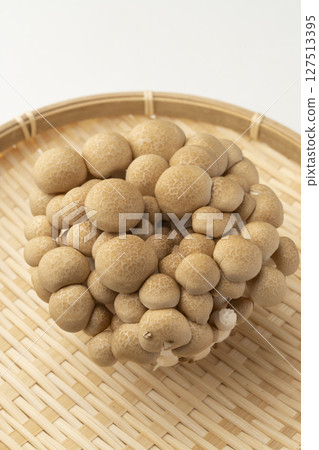 Buna-shimeji, Shimeji, 蘑菇 127513395