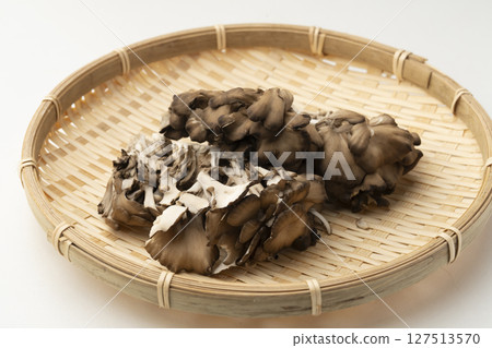舞茸 127513570