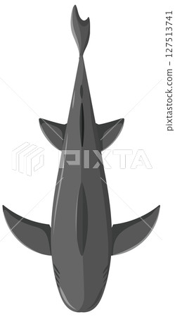Top-Down View of a Shark Top-Down View of a Shark 127513741