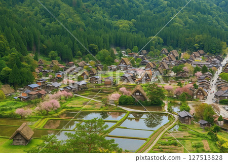 白川鄉：從荻町城跡展望台眺望櫻花盛開的合掌村 127513828