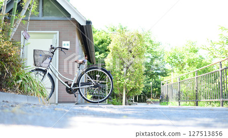 東京都大田區小池公園 東京都大田區小池公園 127513856