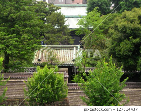 湯島大教堂 湯島大教堂 127514437