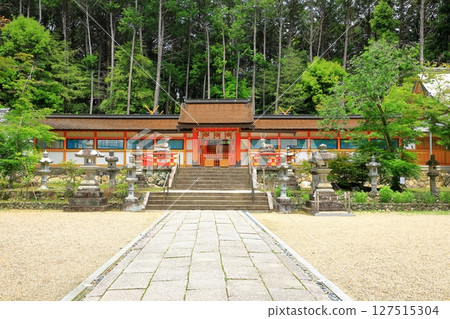 Ogahara Shrine的新鮮綠色 127515304