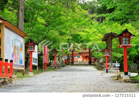 Ogahara Shrine的新鮮綠色 127515311