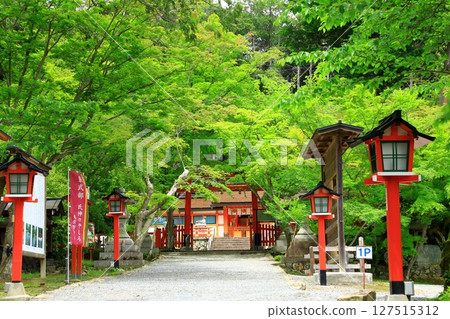 Ogahara Shrine的新鮮綠色 Ogahara Shrine的新鮮綠色 127515312