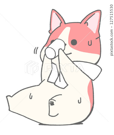 法國鬥牛犬（雜色，紅色）坐著喝水 127515530