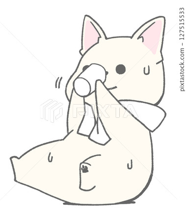 法國鬥牛犬（白色）坐著喝水 127515533