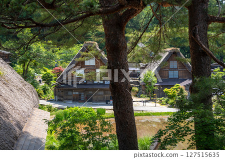 Traditional wooden house in the peaceful village of Shirakawa-go 127515635