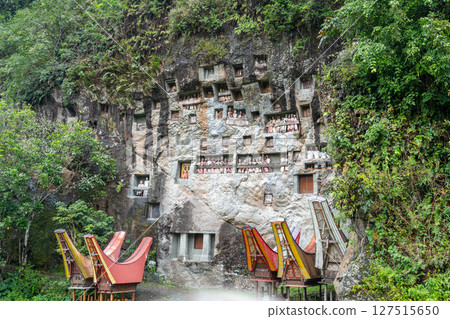 Funeral cliff site of Lemo in Toraja, Sulawesi, Indonesia Funeral cliff site of Lemo in Toraja, Sulawesi, Indonesia 127515650