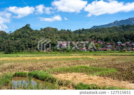 Traditional village with rice fields in Toraja, Sulawesi, Indonesia 127515651
