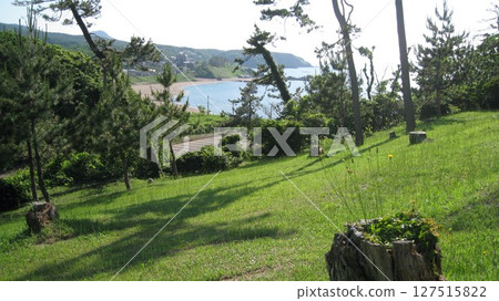 A view of the blue sea and green foothills from the cape on a clear summer day 127515822