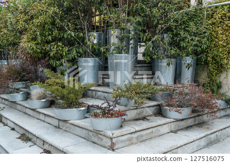 Creative Terrace Garden with Vintage Metal Planters Creative Terrace Garden with Vintage Metal Planters 127516075