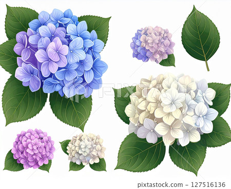 繡球花雨季AI生成圖標 127516136