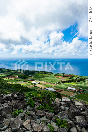 A panoramic view of Okinawa's farmland and blue ocean 127516183
