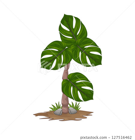 Illustration of Palm Tree Illustration of Palm Tree 127516462